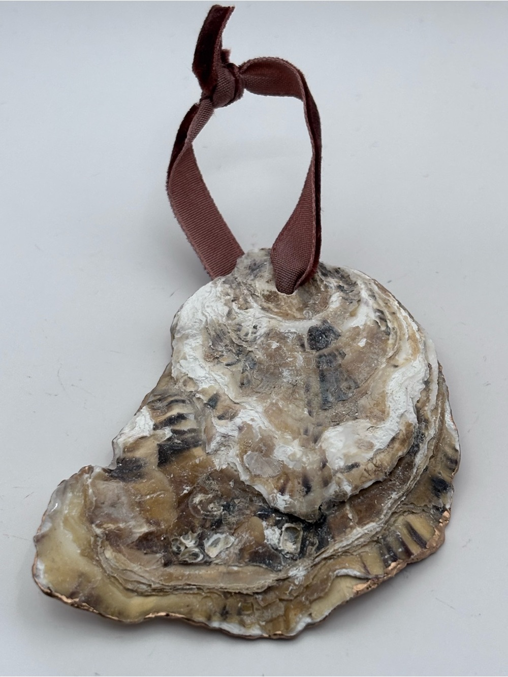 Pug & Pumpkin Velvet Ribbon Holiday Oyster Shell Ornament in Burgundy - Picture 4 of 4